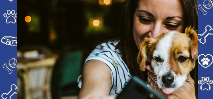 Emotional Support Animals at University of Idaho: A Guide for Students