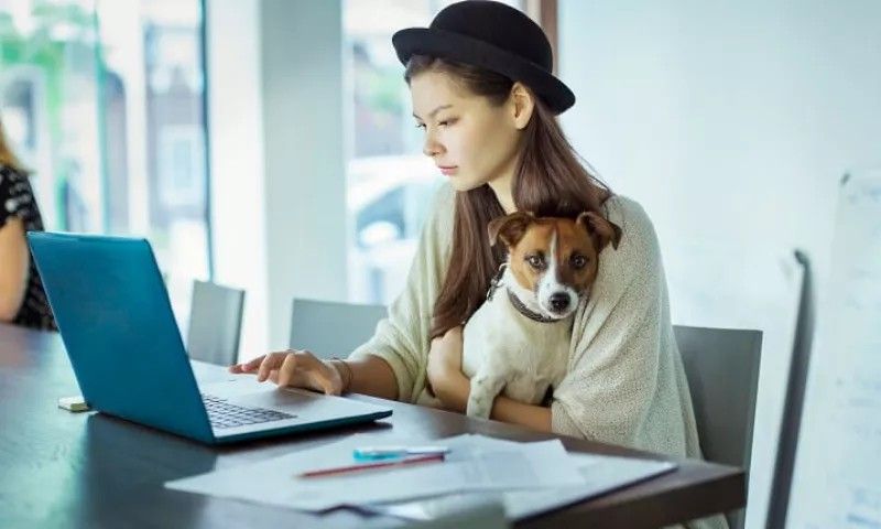 A person happily petting an emotional support dog on a couch in a cozy apartment, symbolizing affordable housing protection with an ESA letter.