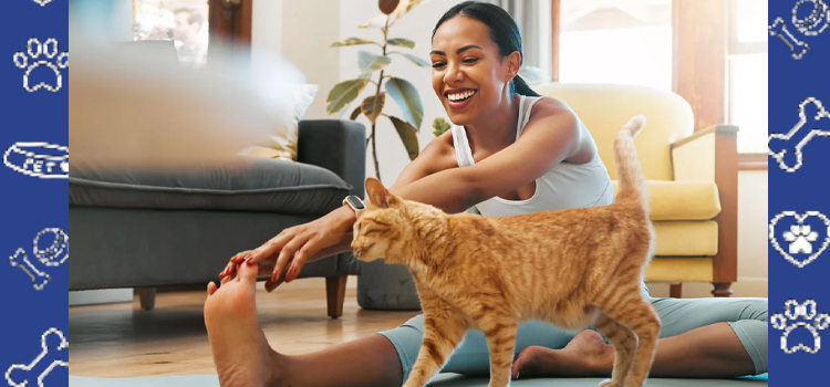 The Healing Power of Cats | Why Felines Make Great Emotional Support Animal