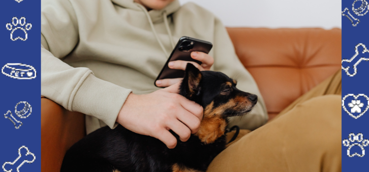 Cheapest ESA Housing Letter Options Reviewed | PetCerts