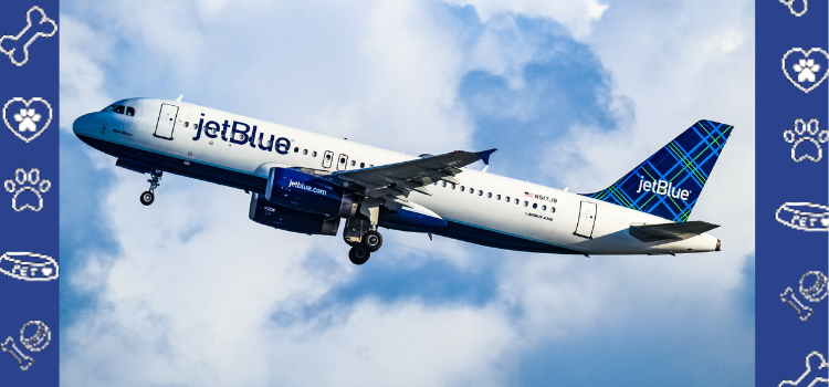 JetBlue Airlines: Rules and Regulations for Flying with Psychiatric Service Dogs (PSDs)