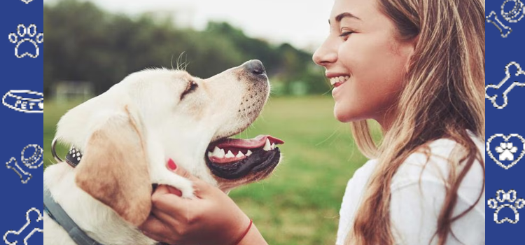 Top Universities That Support Emotional Support Animals (ESAs): What Students Should Know in 2025