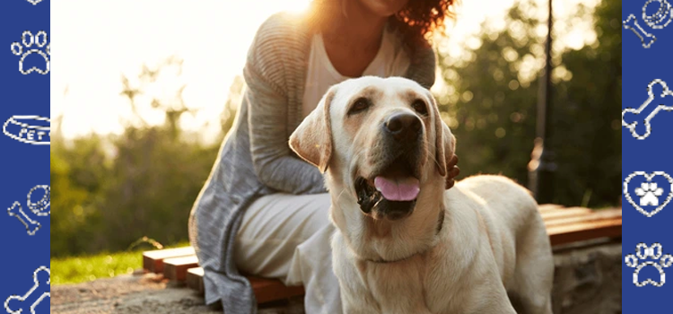 Holiday Stress? Here’s How Your Emotional Support Animal Can Help You Stay Grounded