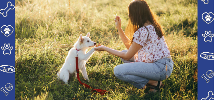 Why Some Dogs Are Shy: Understanding Fearful Canine Behaviors