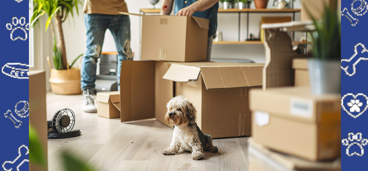 Affordable ESA Letters for Housing in 2026: How to Get Approved Without Overpaying