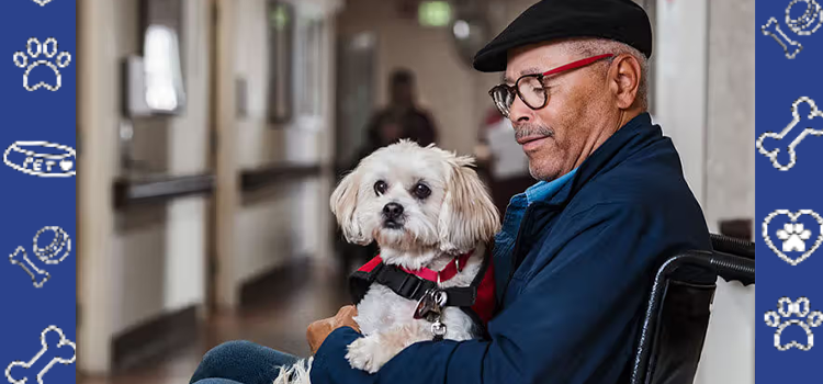 Your Step-by-Step Guide to Getting a Psychiatric Service Dog