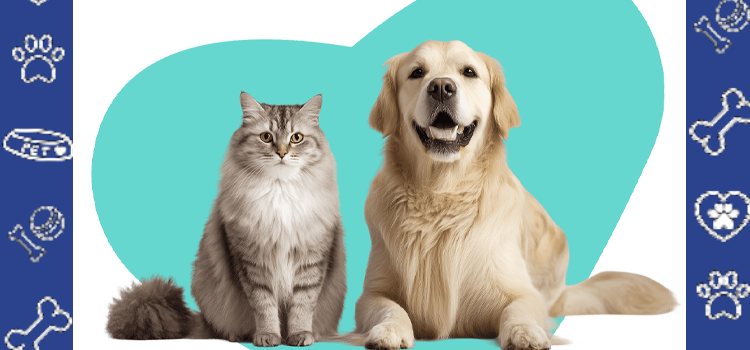Emotional Support Animals for PTSD: Veterans & Remote Workers | ESA Letters