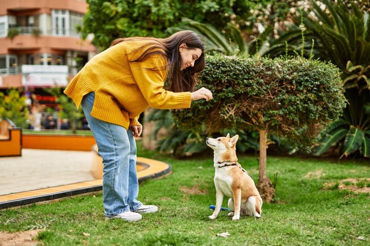 Person comforting an emotional support animal, symbolizing affordable mental health support without recurring fees