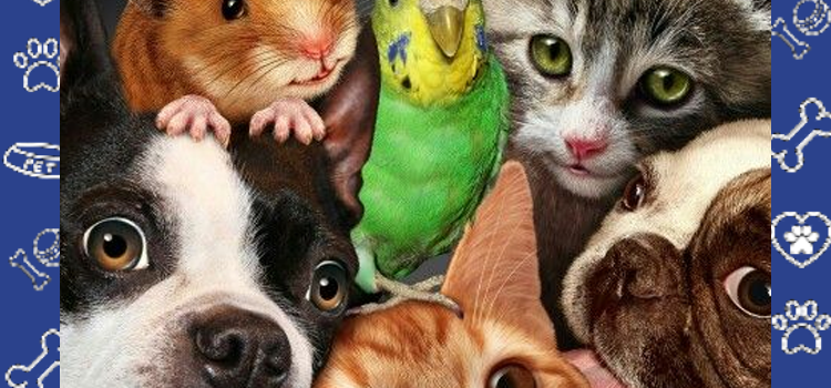 Cheap ESA Letter 2026: Avoid Pet Rent & Save Thousands | PetCerts