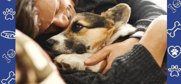 How Emotional Support Animals Help Manage Seasonal Depression (2025 Guide)