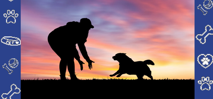 How Emotional Support Animals Improve Mental Health | ESA Letter & Housing Guide 2026
