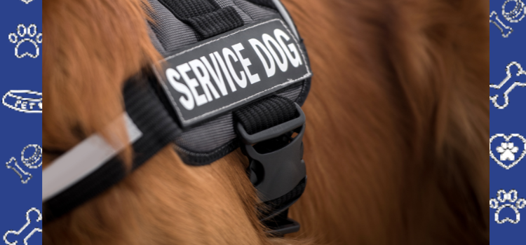 What Connecticut Residents with Disabilities Need to Know About PSD Letters