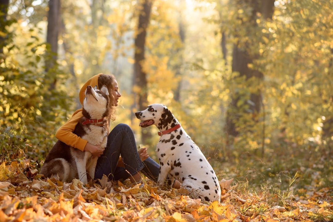 A person petting an emotional support animal, illustrating housing rights for ESAs amidst landlord regulations.