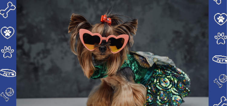 Can Your ESA Be a Fashion Icon? Trendy Pet Accessories to Show Off Their Role