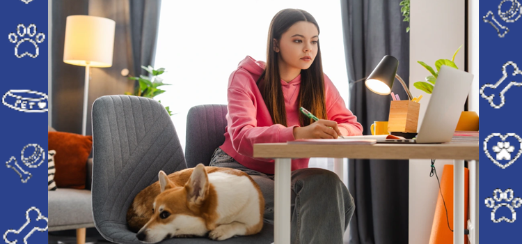 How Emotional Support Animals Improve College Student Life