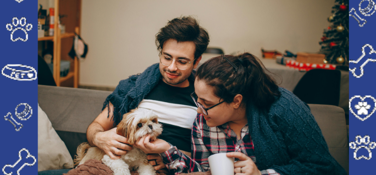 Affordable PSD Housing Letters & Housing Equity | PetCerts.com