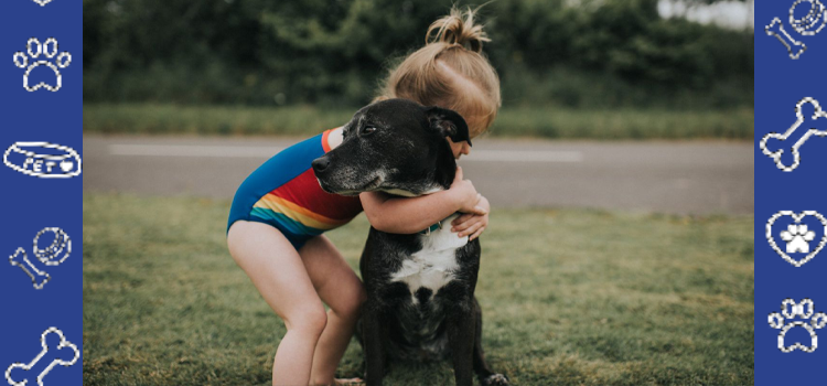 Do Emotional Support Animals Count as Pets? 2026 HUD Guidelines