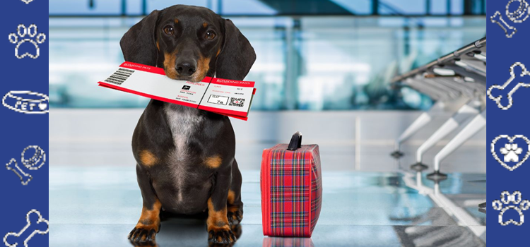 ESA Travel Rules 2026: The Complete Guide to Airlines & Hotels