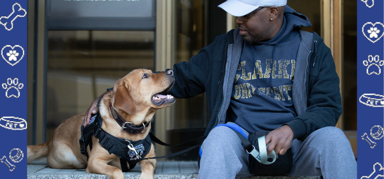 Veterans Find Companionship at Local Animal Adoption Event in El Paso