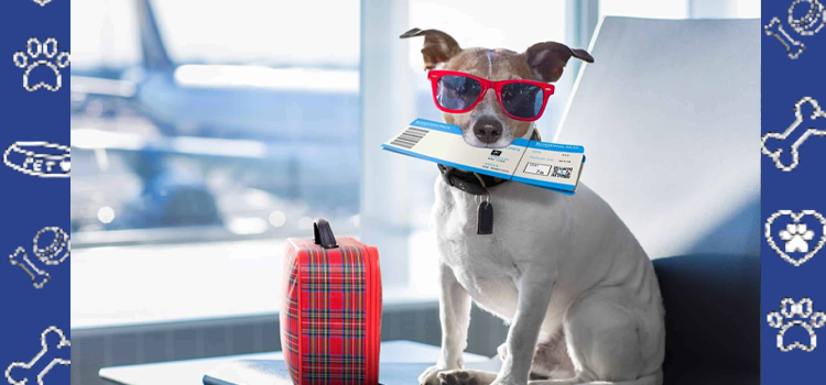 Travel Season Prep: Why October Is the Best Time to Get Your ESA or PSD Letter (2025 Guide)