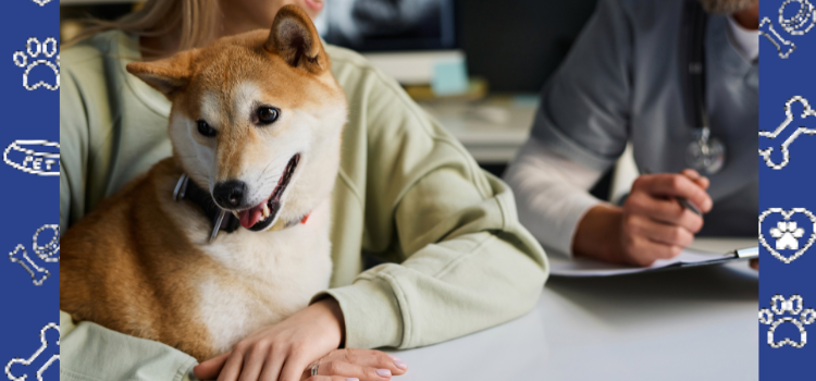 How a PSD Letter Can Help You Secure Pet-Friendly Housing in Rhode Island