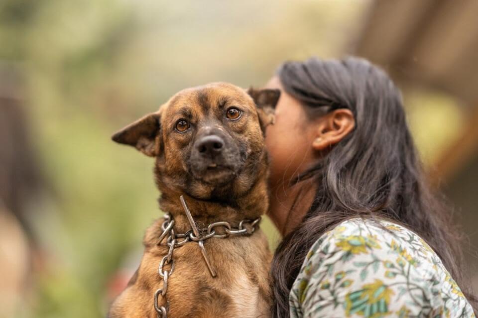 A person comforting their emotional support dog in a cozy apartment, illustrating harmonious living despite a no-pets policy.