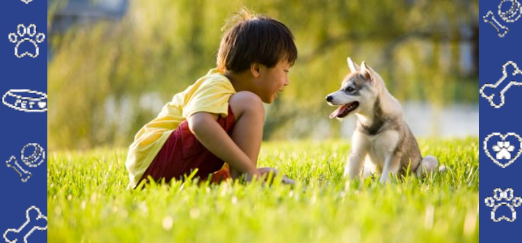 New Pet? When to Get a Cheap ESA Letter Online (2026 Guide)
