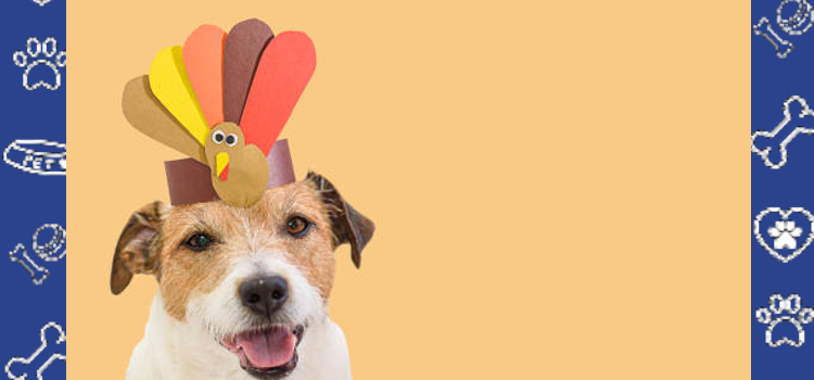 This Season of Thanks, Celebrate the Bond That Heals