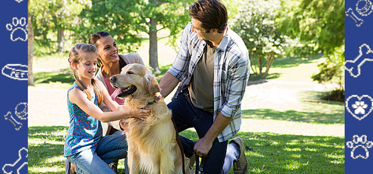 From Shelter to Support: Why Rescue Animals Make the Most Loyal ESAs