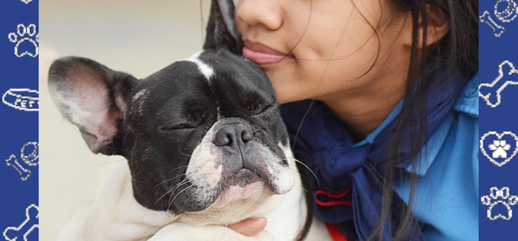 Grand Canyon University ESA Guide: Housing & Emotional Support Animals