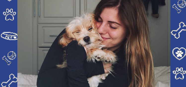 ESA vs. Service Dog: Public Access & Cheap ESA Letter