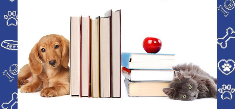 Emotional Support Animals at the University of Colorado Boulder: A Complete Student Guide