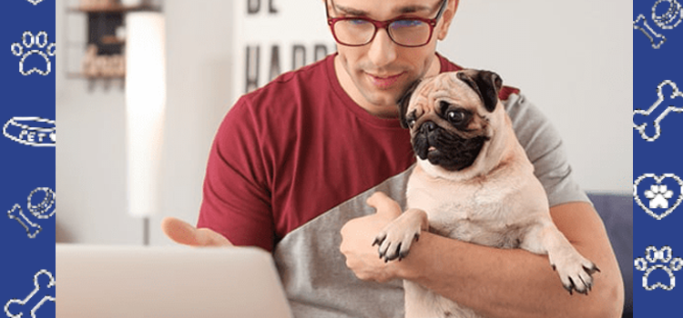 Emotional Support Animal Laws in Mississipi: Cheap ESA letter and ESA Housing Documentation Guide