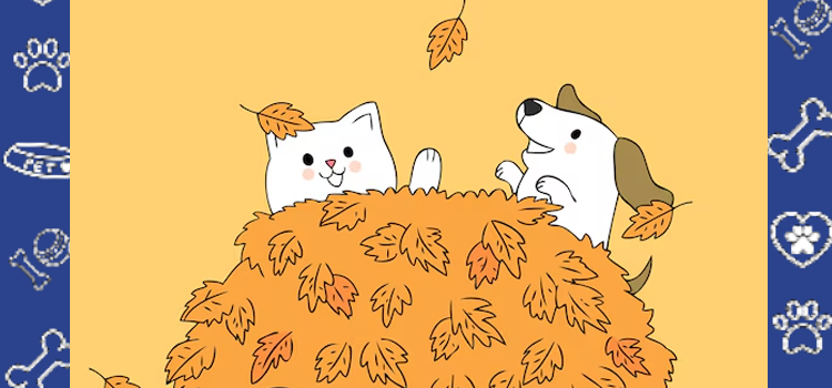 Falling Into Routine: How Emotional Support Animals Help You Adjust to Seasonal Change