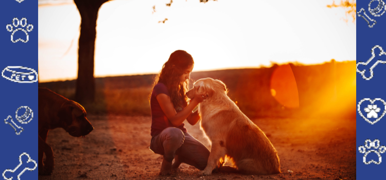 Cheap ESA Housing Letters for Apartments, Condos & Shared Housing | PetCerts