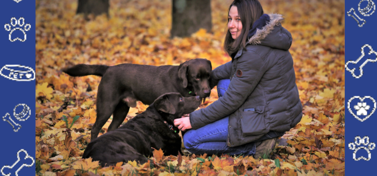 Cheap ESA Letter Online (2026): Protect Your Dog's Housing Rights & Stop Overpaying