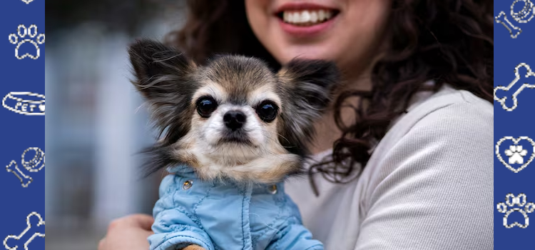 The Future of Emotional Support Animals: What 2026 Could Bring for ESA Rights and Recognition