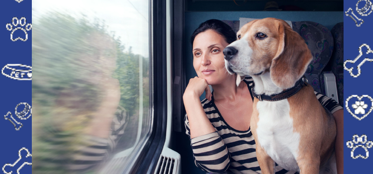 Can Emotional Support Animals Travel on Public Transportation in 2025?