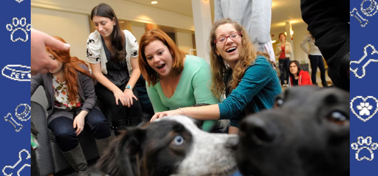 UGA Emotional Support Animals: ESA Policy and Housing Guide for Students