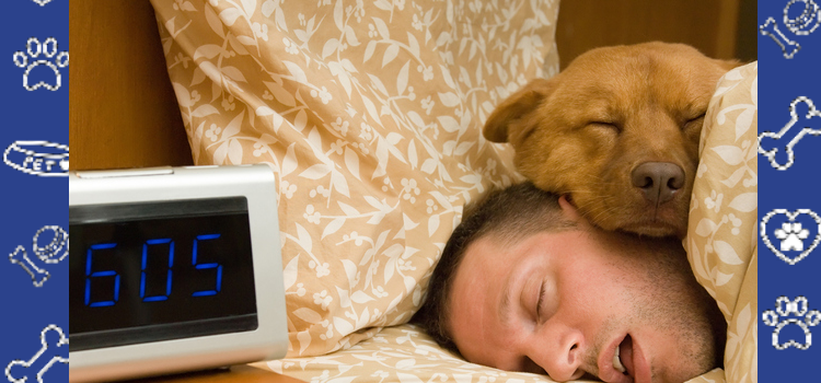 How Emotional Support Animals Help You Sleep Better and Stress Less