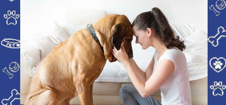 How Emotional Support Animals Help With Mental Health Conditions