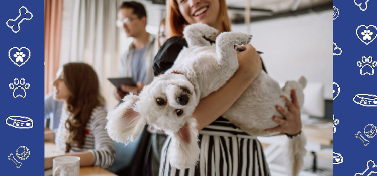 Understanding the Role of Emotional Support Animals: A Comprehensive Guide