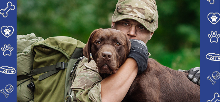 Power Healing Dogs for Veterans with PTSD: How to Get a PSD Housing Letter Easily at PetCerts