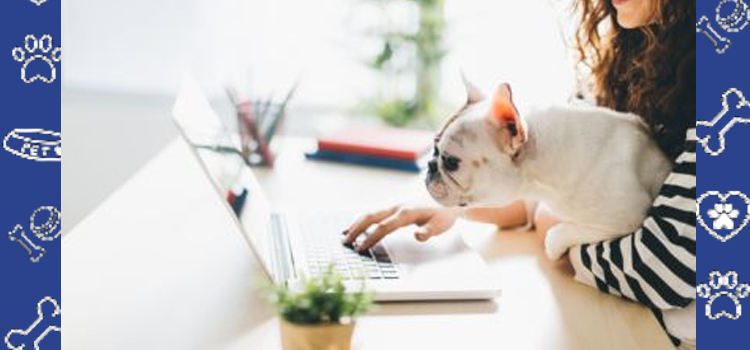 Emotional Support Animals for Students With Mental Health Challenges: How ESA Letters Help & How PetCerts Makes the Process Simple