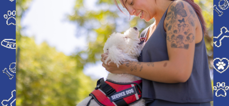 Who Qualifies for PSD Housing in New Hampshire?