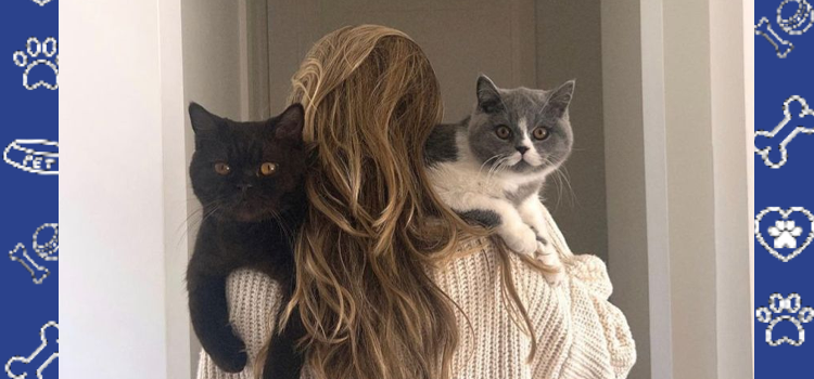 Can Cats Be ESAs? FHA Rules & Legit 2026 ESA Cat Letters