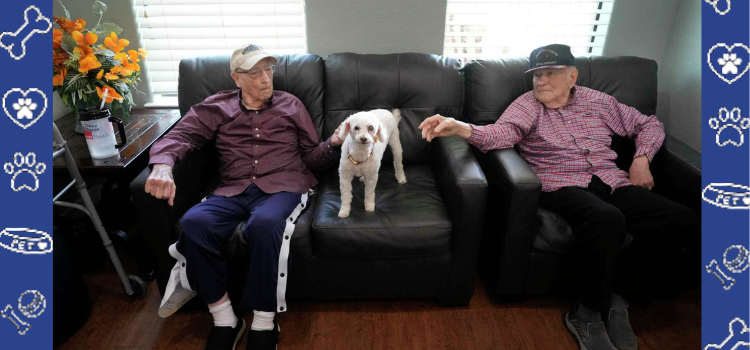 Pet-Friendly Senior Living Facilities in Houston, Texas: Why They Matter