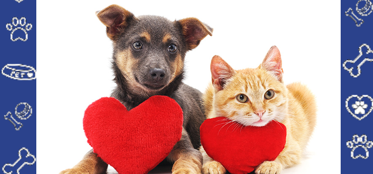 ESA Letters for No-Pet Apartments (2026 Legal Rights Guide)
