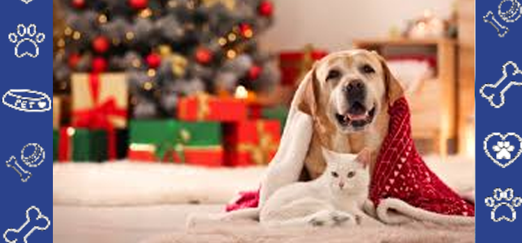 Make Your Holidays Stress-Free with ESA Housing Documents and Affordable ESA Letters