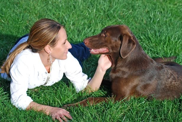A person holding a checklist with a dog sitting nearby, symbolizing the process of finding a legitimate ESA letter provider